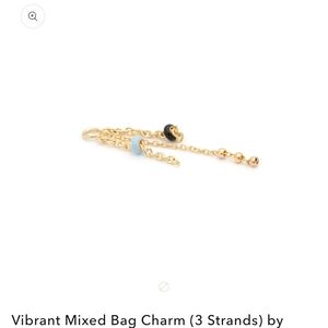 Pupil Hall Mixed Bag Piercing Charm